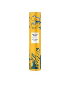 Shortbread House of Edinburgh Ltd - Shortbread with Mediterranean Lemon Tall Tin - 12 x 250g