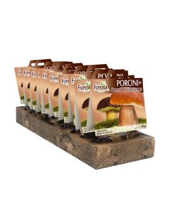 Foresta - Porcini and Dried Wild Mushrooms  - 10 x 25g